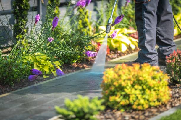Reliable Madison Park, NJ Pressure Washing Solutions